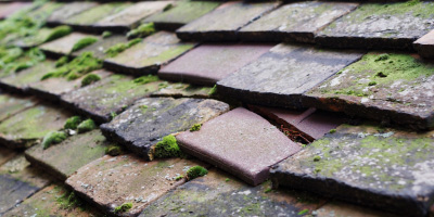 Broad Oak roof repair costs